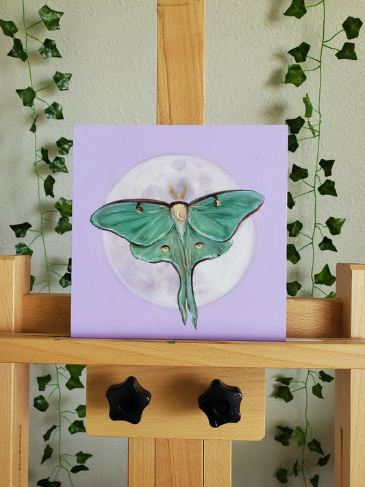 'The Moth & her Moon' Original Oil Painting
